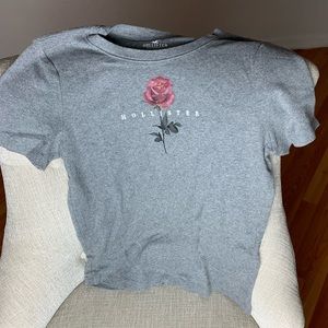 hollister tee